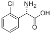 L-2-Chlorophenylglycine CAS 141315-50-6